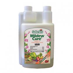 SaferGro Mildew Cure Concentrate