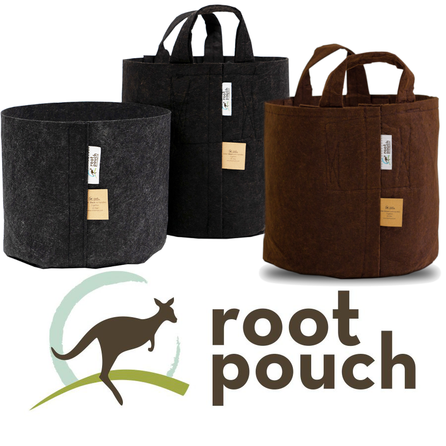 Root Pouch Black